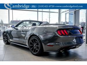 Thumbnail 5 Ford Mustang Gt Premium 2016