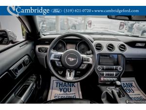 Thumbnail 13 Ford Mustang Gt Premium 2016