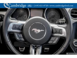 Thumbnail 14 Ford Mustang Gt Premium 2016