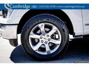 Miniature 11 Ford F-150 4X4 Supercrew-145 2022