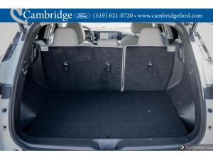 Miniature 13 Nissan Murano Sl 2025