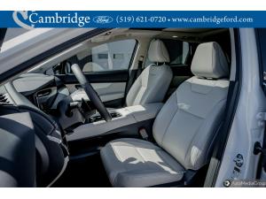 Miniature 14 Nissan Murano Sl 2025