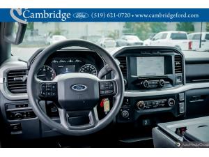 Miniature 7 Ford F-150 4X4 Supercrew-157 2022