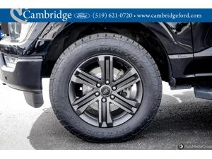 Miniature 11 Ford F-150 4X4 Supercrew-157 2022