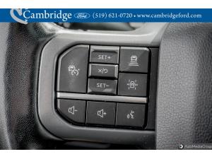 Miniature 21 Ford F-150 4X4 Supercrew-157 2022