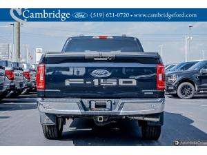 Thumbnail 5 Ford F-150 Xlt 2022