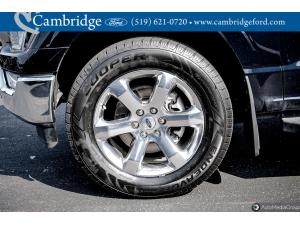Thumbnail 11 Ford F-150 Xlt 2022