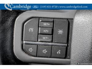 Thumbnail 20 Ford F-150 Xlt 2022