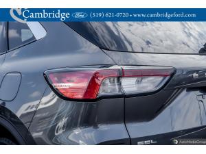 Thumbnail 7 Ford Escape Sel 2020