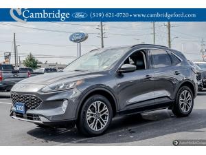 Thumbnail 9 Ford Escape Sel 2020