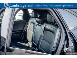Thumbnail 5 Ford Escape Hybrid St-Line 2024