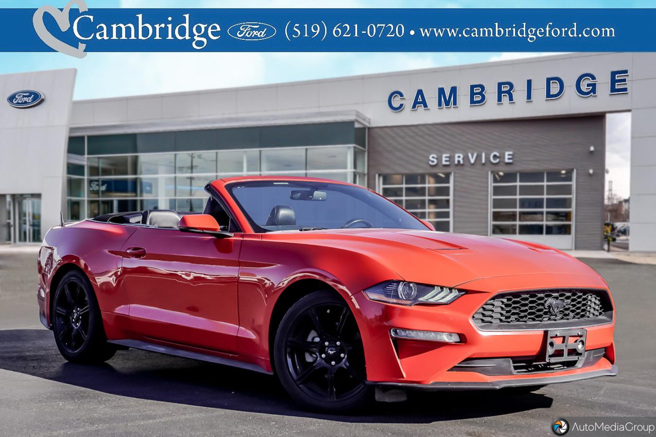 Image 1 Ford Mustang Ecoboost 2019