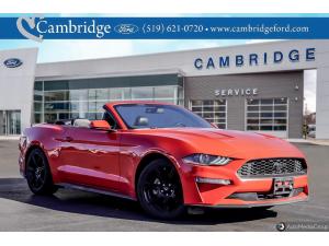 2019 Ford Mustang Ecoboost - Image 1