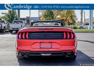 Miniature 5 Ford Mustang Ecoboost 2019