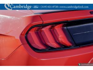 Miniature 6 Ford Mustang Ecoboost 2019