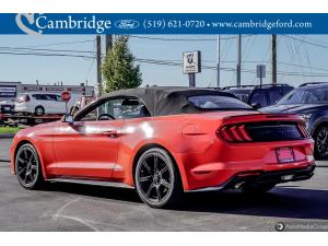 Miniature 7 Ford Mustang Ecoboost 2019