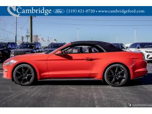 Miniature 8 Ford Mustang Ecoboost 2019