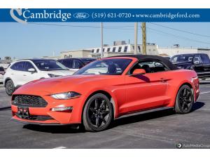 Miniature 9 Ford Mustang Ecoboost 2019