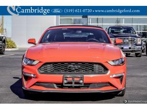 Miniature 10 Ford Mustang Ecoboost 2019