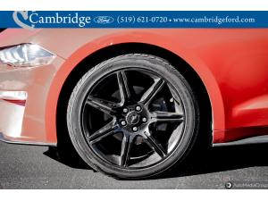 Miniature 11 Ford Mustang Ecoboost 2019