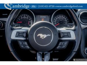 Miniature 18 Ford Mustang Ecoboost 2019