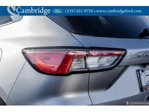 Miniature 7 Ford Escape Sel 2022