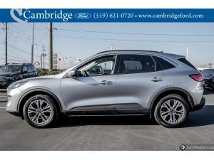 Miniature 8 Ford Escape Sel 2022
