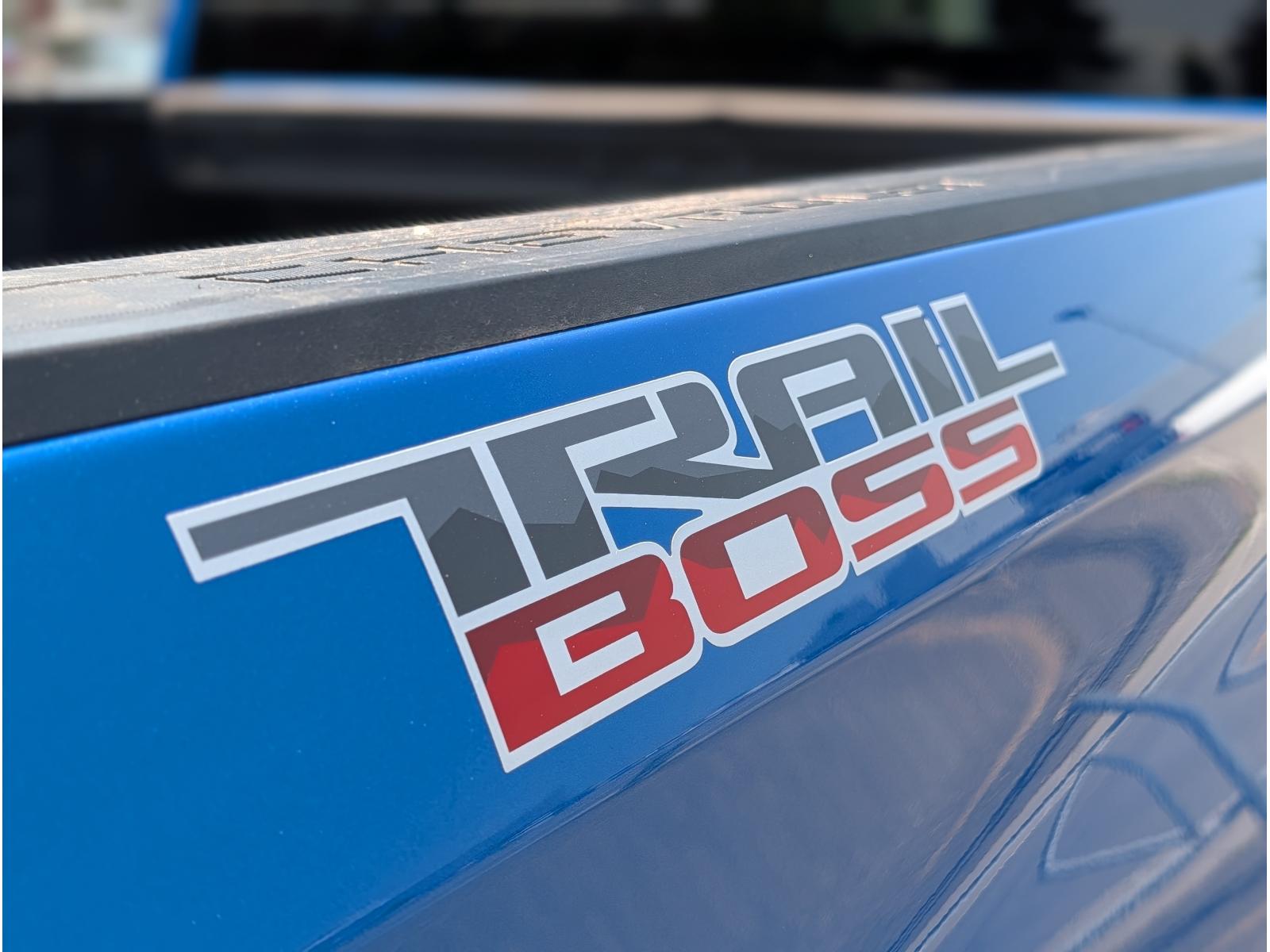 Chevrolet Silverado 1500 LT Trail Boss 2024 — photo 7