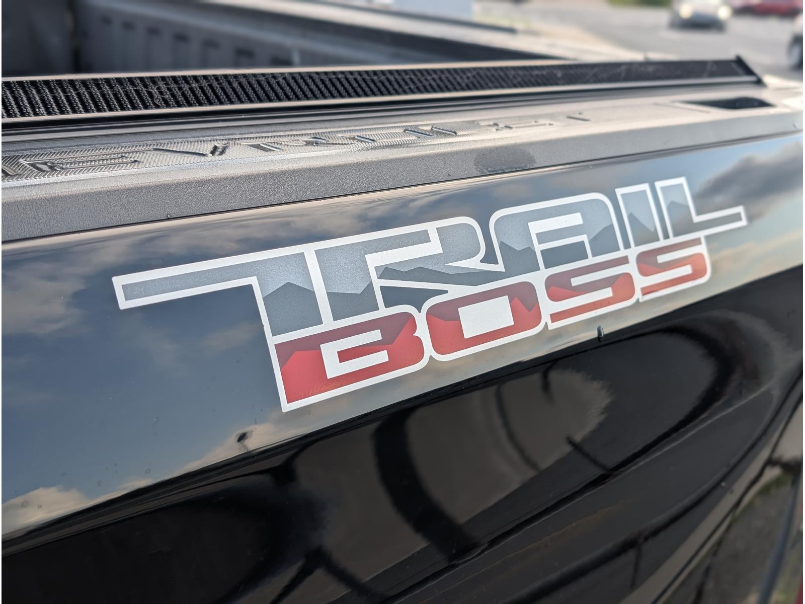 Chevrolet Silverado 1500 LT Trail Boss 2024 — photo 6