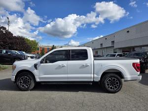 Miniature 10 Ford F150 XLT 2021