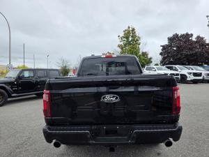 Miniature 7 Ford F150 XLT 2025