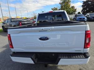 Miniature 9 Ford F150 F-150 XLT 2023