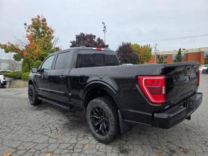 Miniature 9 Ford F150 XLT 2022