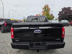 Miniature 10 Ford F150 XLT 2022
