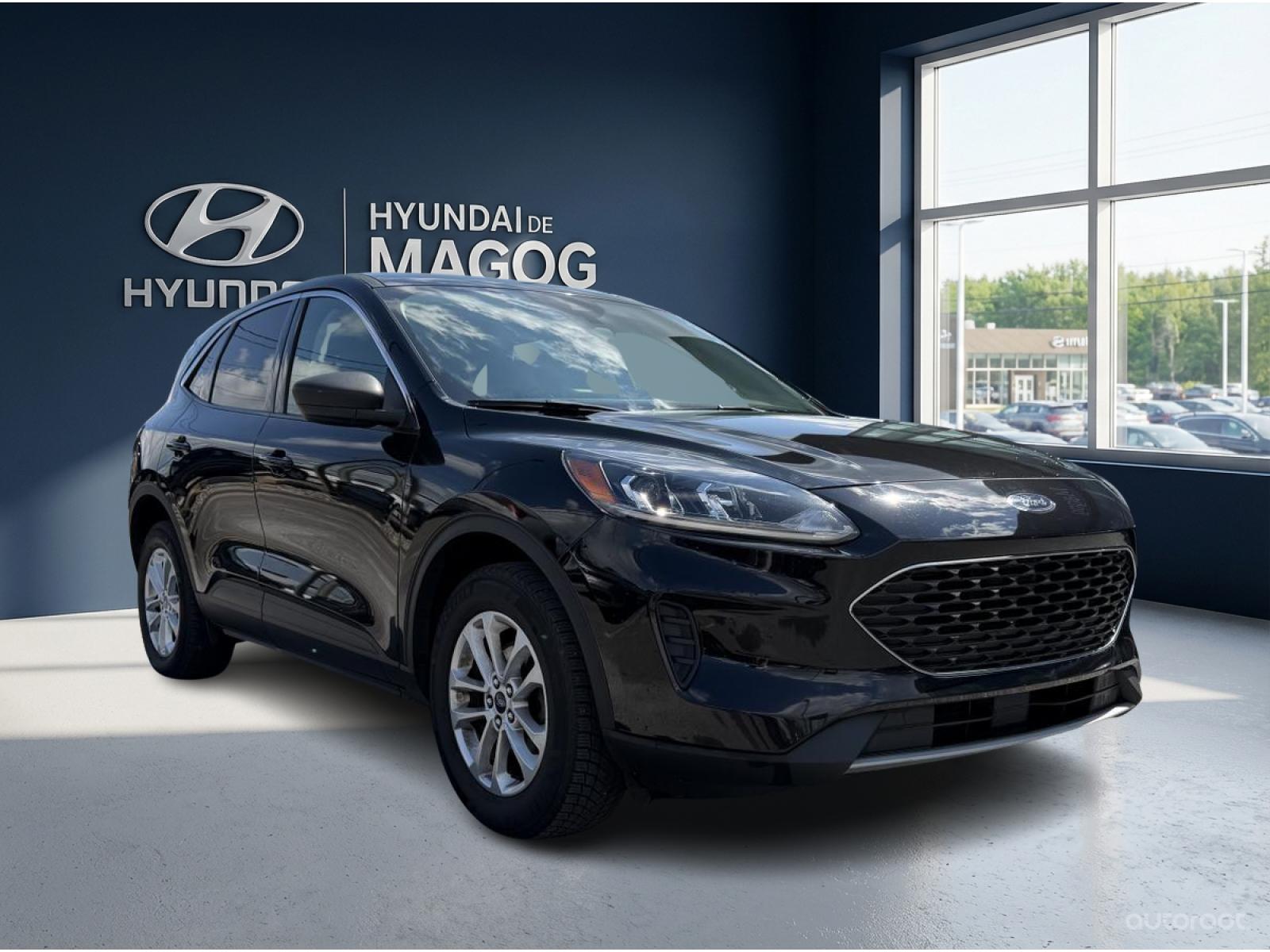 Ford Escape SE 2022 — photo 7