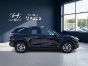 Thumbnail 6 Ford Escape SE 2022