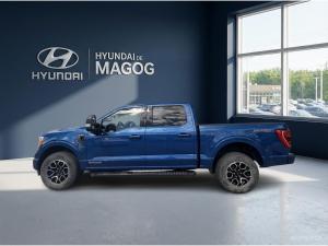 Miniature 8 Ford F150 F-150 XLT 2022