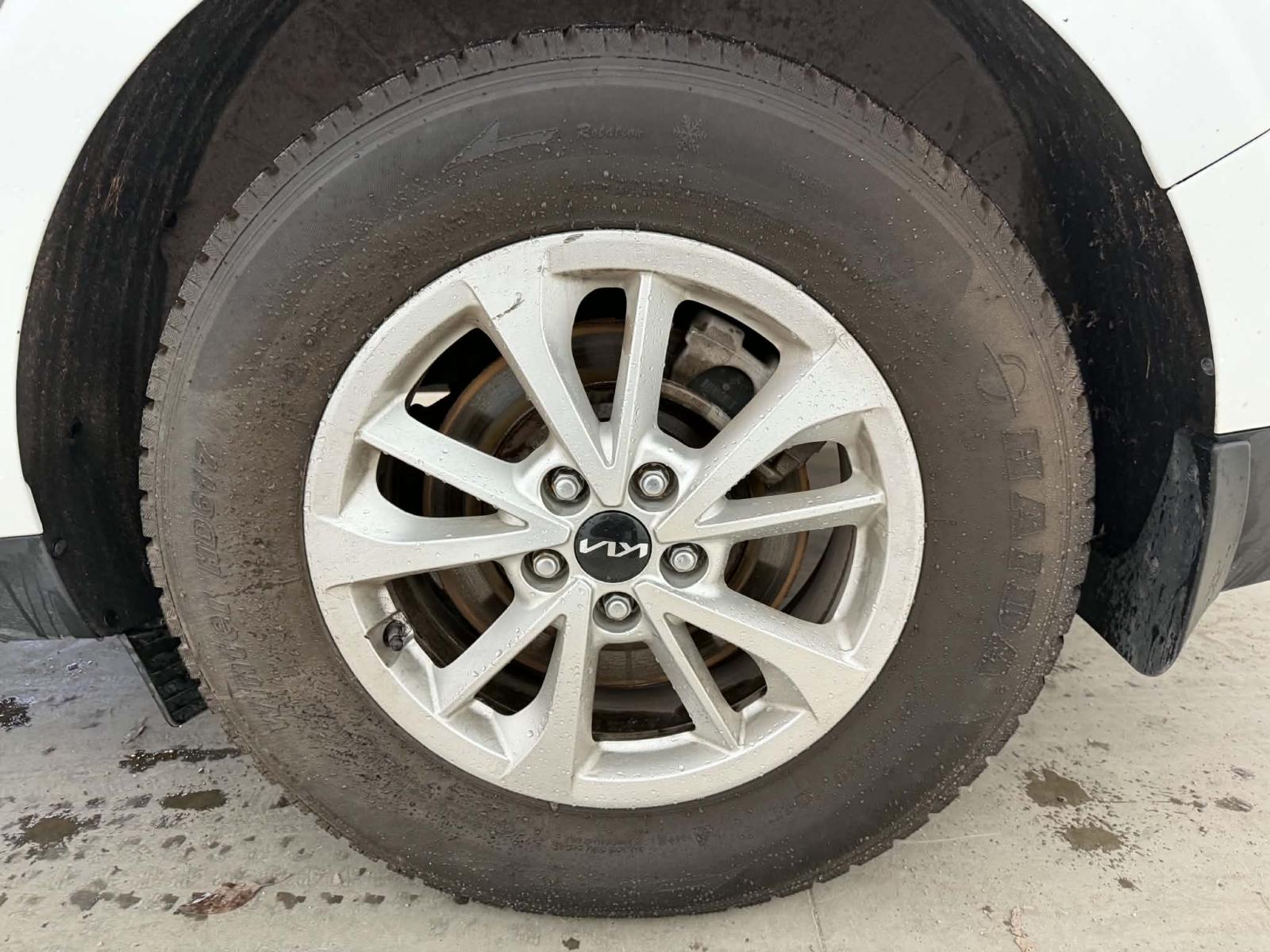 Kia Carnival LX 2024 — photo 7