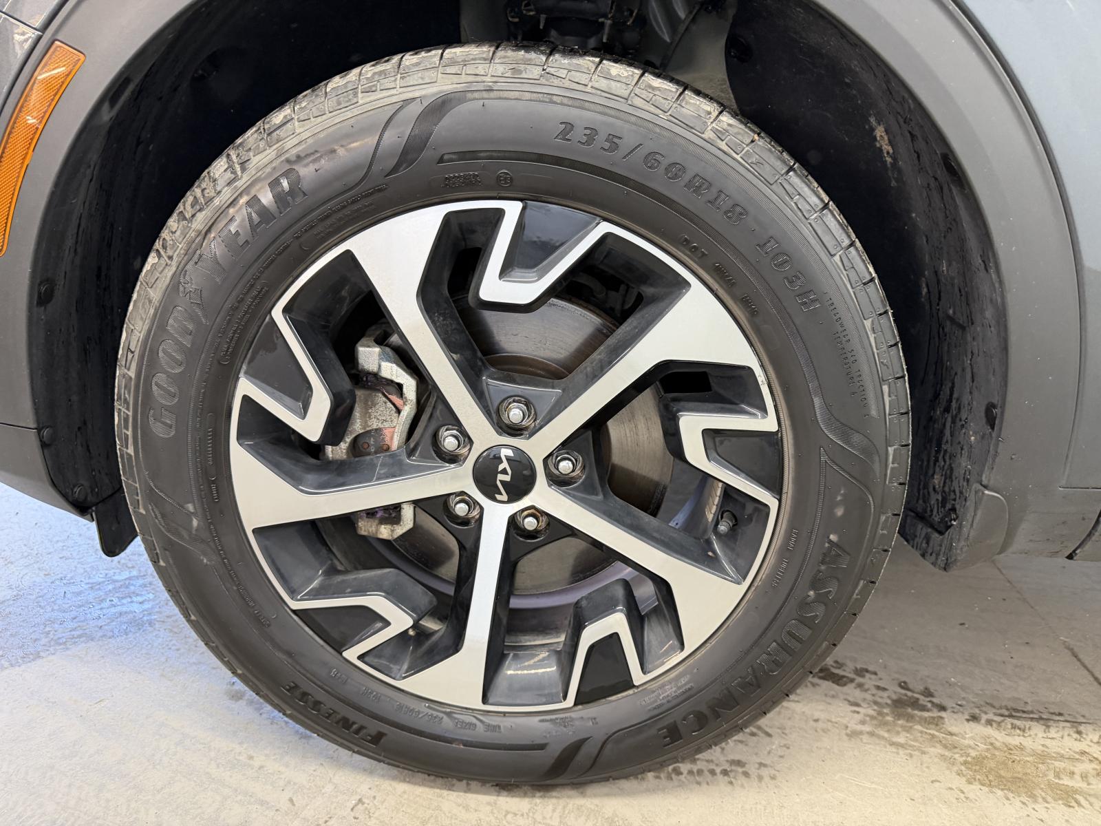 Kia Sportage EX 2024 — photo 8