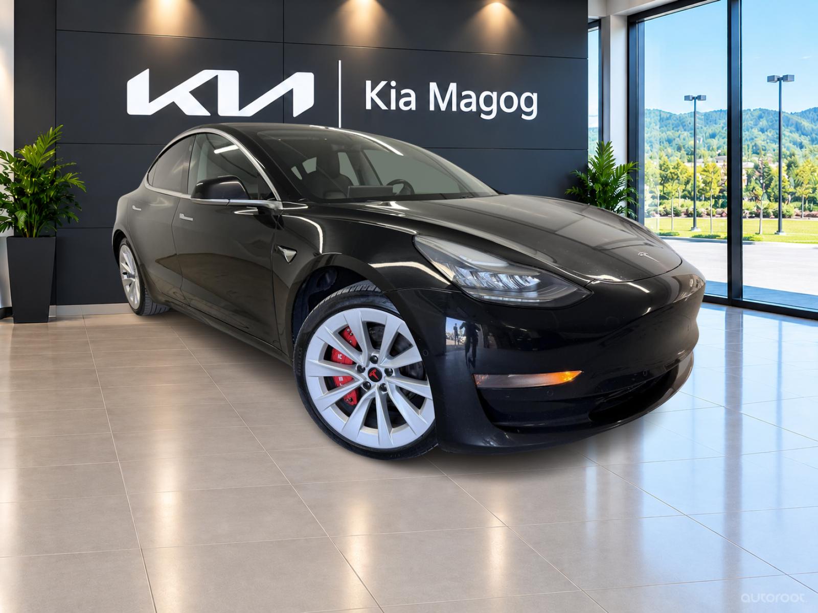 Tesla Model 3 Standard Range 2019