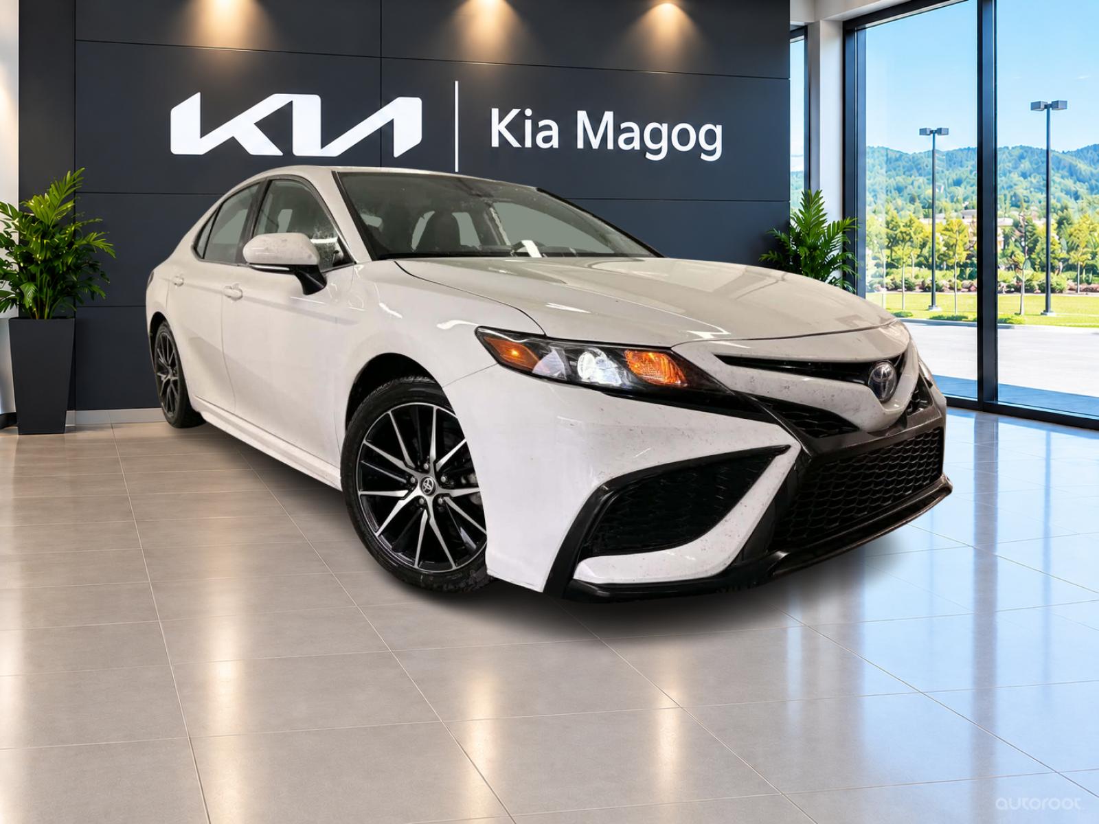Toyota Camry XLE Hyb 2024