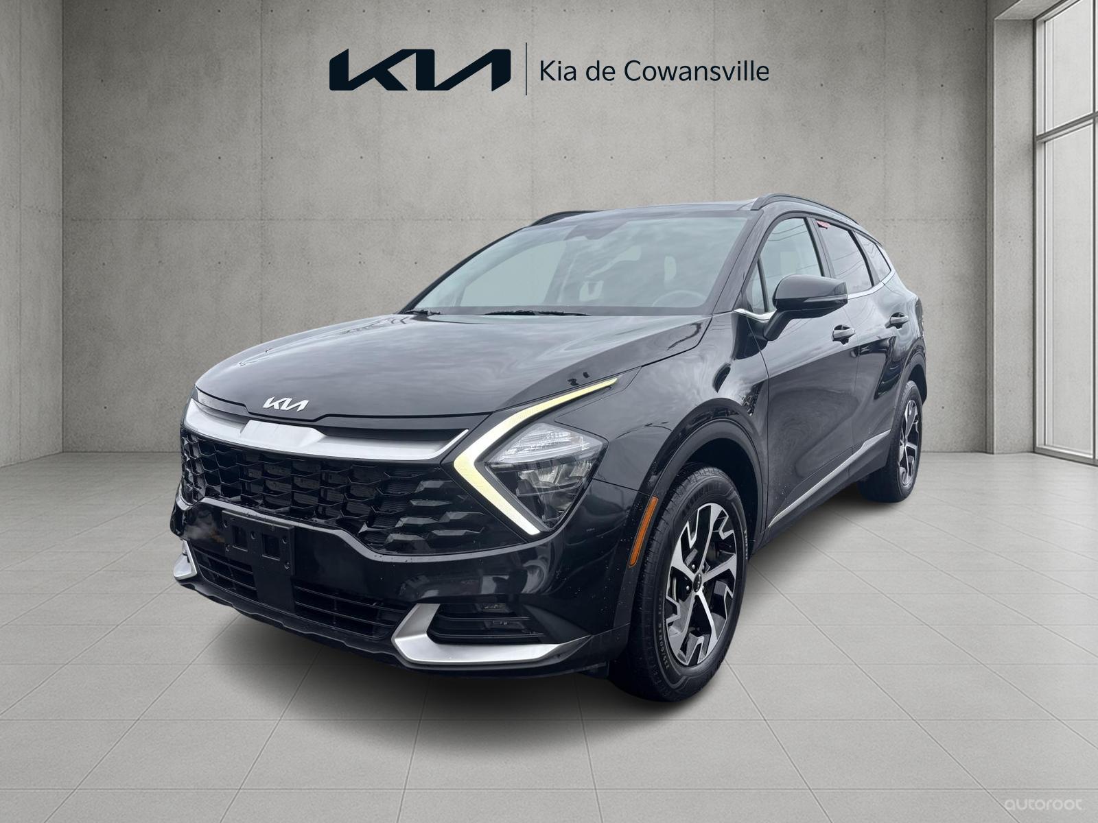 Kia Sportage EX 2024