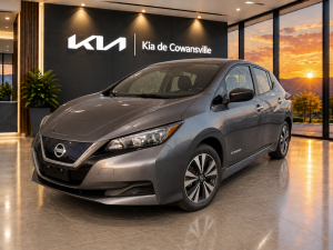 2019 Nissan Leaf S - Image 1