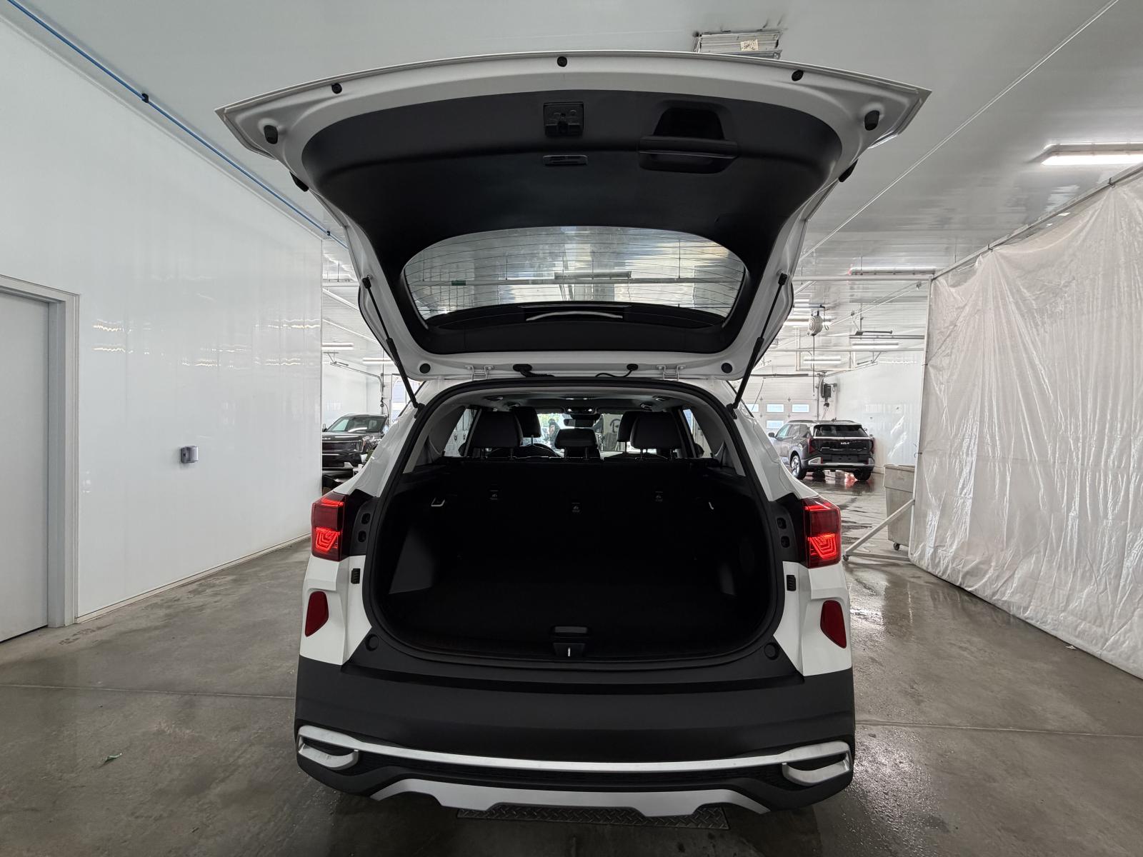 Kia Seltos SX Turbo 2023 — photo 6