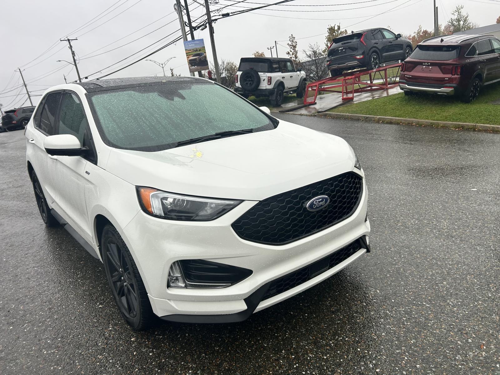 Image 1 Ford Edge SEL 2022