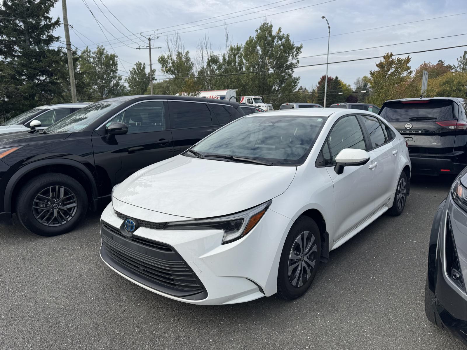 Toyota Corolla LE Hyb 2025