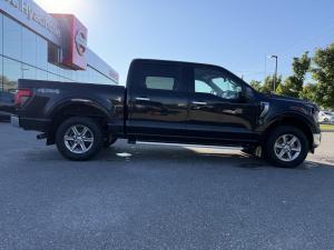 Miniature 5 Ford F150 XLT 2024