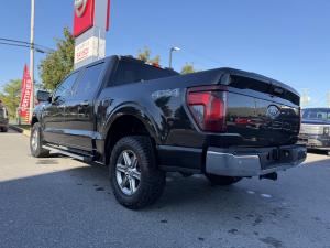 Miniature 8 Ford F150 XLT 2024