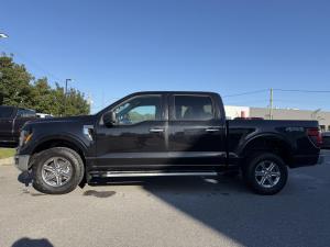 Miniature 9 Ford F150 XLT 2024
