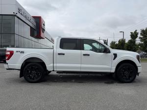 Miniature 5 Ford F150 XL 2023